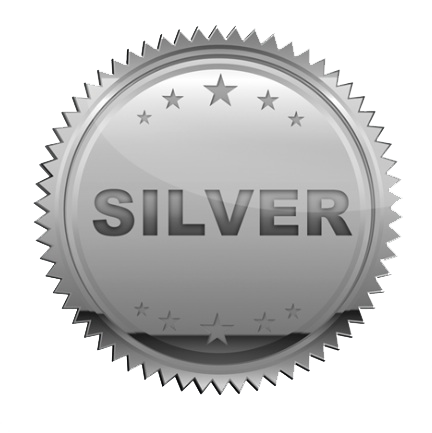 חבילת מיגון אייפון - Silver